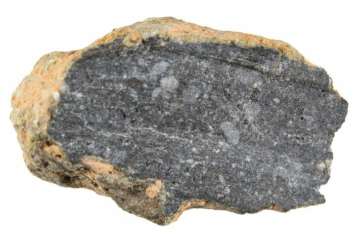 Polished Lunar Meteorite ( g) End Cut Slice - NWA #333164
